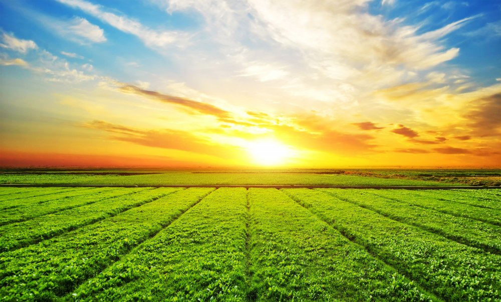 Agricultural Equipment Solutions